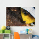 Anemone Fish Cares for Wall Decal