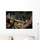 Pair Network Pipefish Swimming Wall Decal