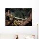 Pair Network Pipefish Swimming Wall Decal