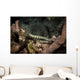 Pair Network Pipefish Swimming Wall Decal