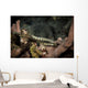 Pair Network Pipefish Swimming Wall Decal