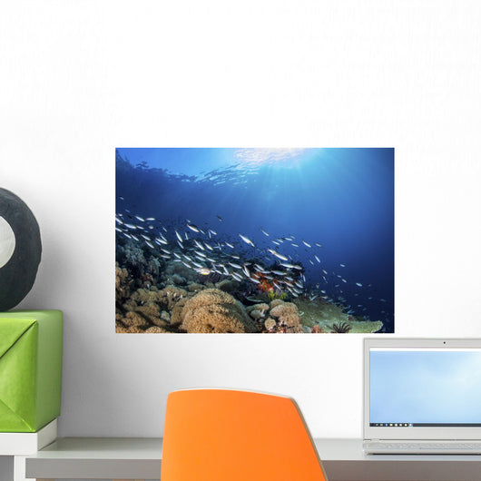 Fish Schooling over Coral Wall Decal