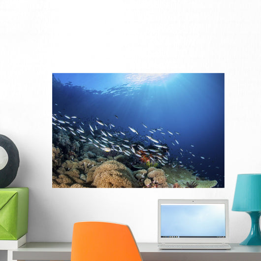 Fish Schooling over Coral Wall Decal
