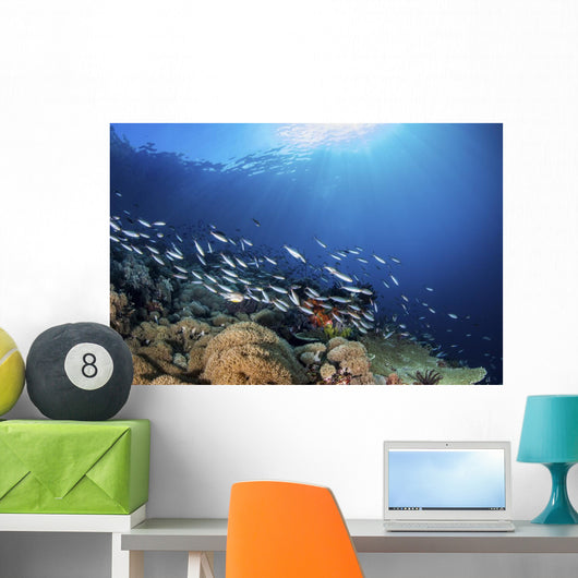 Fish Schooling over Coral Wall Decal