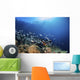 Fish Schooling over Coral Wall Decal