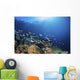 Fish Schooling over Coral Wall Decal