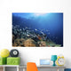 Fish Schooling over Coral Wall Decal