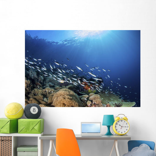 Fish Schooling over Coral Wall Decal