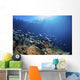 Fish Schooling over Coral Wall Decal