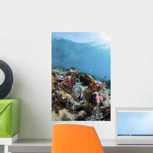 Giant Clam Coral Reef Wall Decal