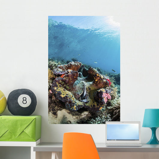 Giant Clam Coral Reef Wall Decal