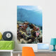 Giant Clam Coral Reef Wall Decal