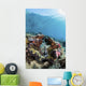 Giant Clam Coral Reef Wall Decal
