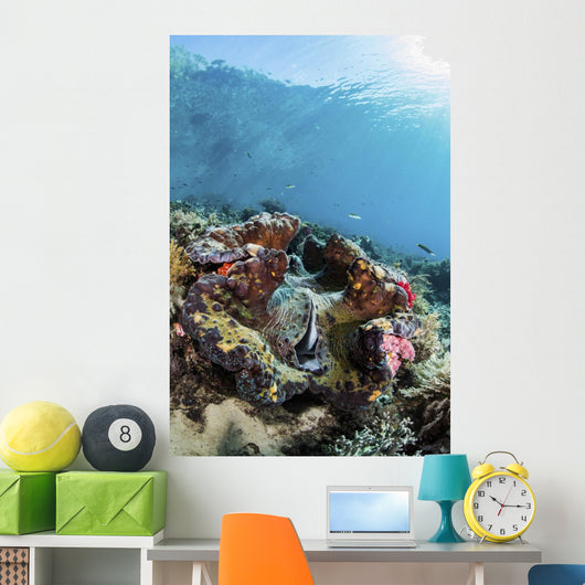 Giant Clam Coral Reef Wall Decal
