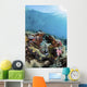 Giant Clam Coral Reef Wall Decal