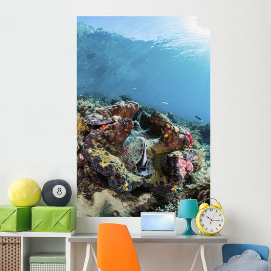 Giant Clam Coral Reef Wall Decal
