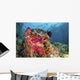 Fish and Soft Corals Wall Decal