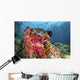 Fish and Soft Corals Wall Decal