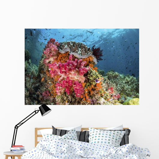 Fish and Soft Corals Wall Decal