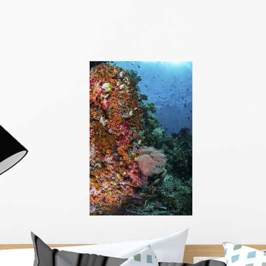 Orange Soft Corals and Wall Decal