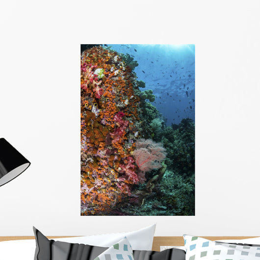 Orange Soft Corals and Wall Decal