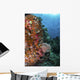 Orange Soft Corals and Wall Decal