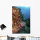 Orange Soft Corals and Wall Decal