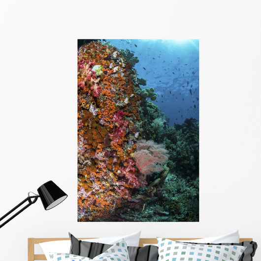 Orange Soft Corals and Wall Decal