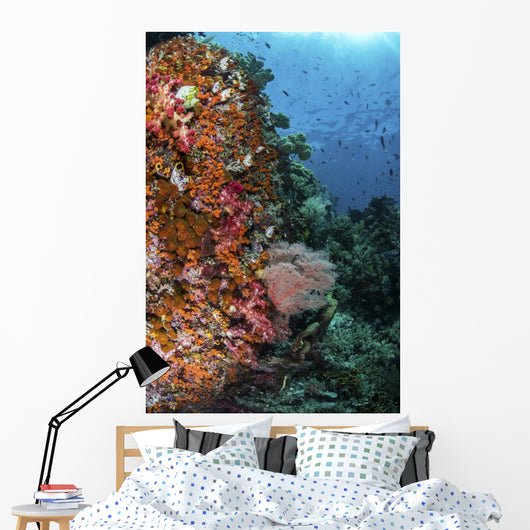 Orange Soft Corals and Wall Decal