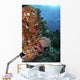 Orange Soft Corals and Wall Decal