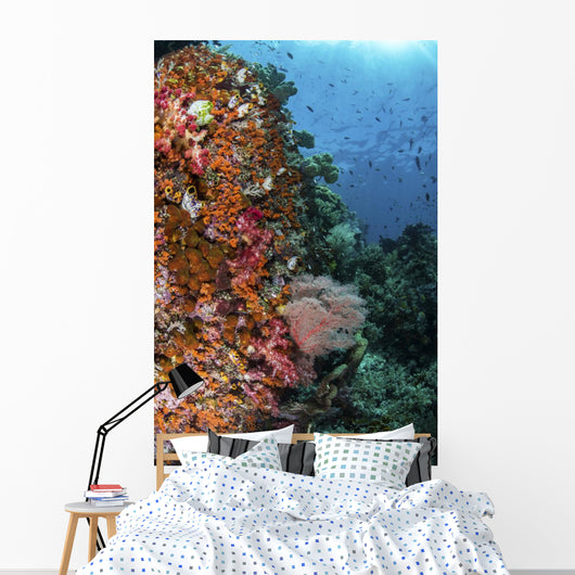 Orange Soft Corals and Wall Decal