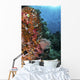 Orange Soft Corals and Wall Decal
