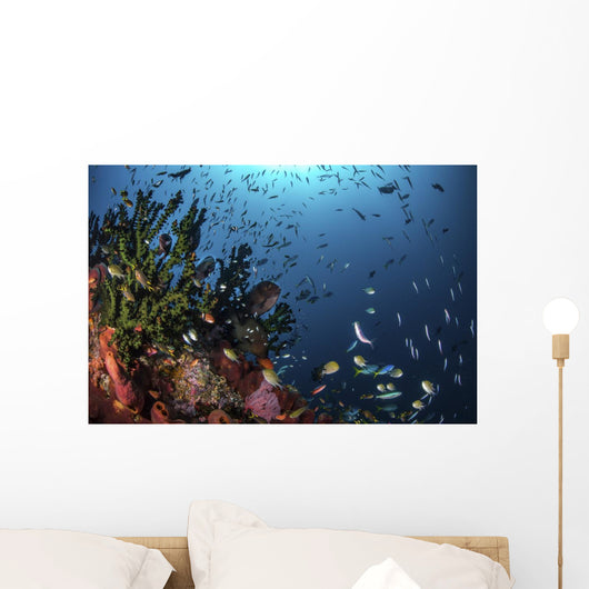 Fish and Corals Reef Wall Decal