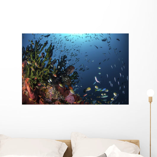Fish and Corals Reef Wall Decal