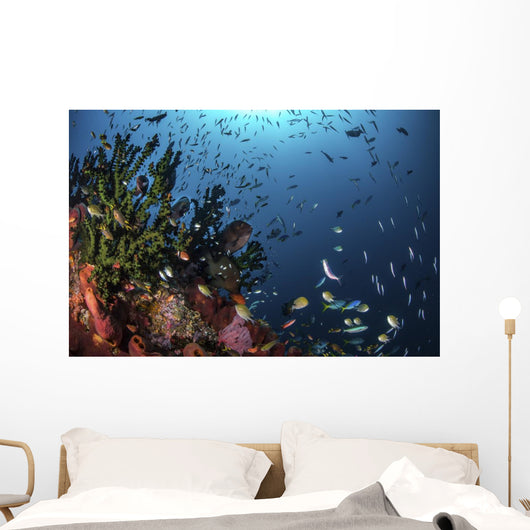 Fish and Corals Reef Wall Decal