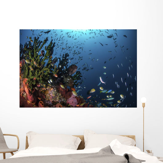 Fish and Corals Reef Wall Decal