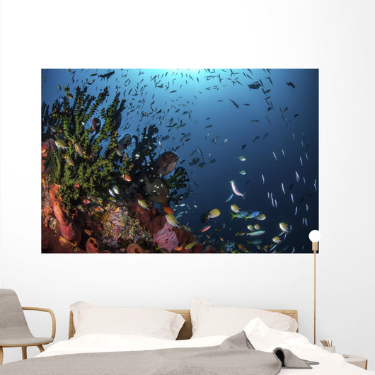 Fish and Corals Reef Wall Decal
