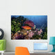 Coral Grouper Swims among Wall Decal