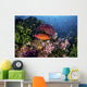Coral Grouper Swims among Wall Decal