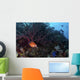 Coral Grouper Opens Its Wall Decal