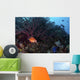 Coral Grouper Opens Its Wall Decal