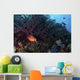 Coral Grouper Opens Its Wall Decal