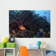 Coral Grouper Opens Its Wall Decal