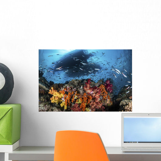 Two Boats above Coral Wall Decal
