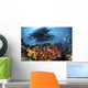 Two Boats above Coral Wall Decal