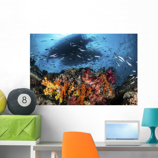 Two Boats above Coral Wall Decal