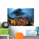 Two Boats above Coral Wall Decal