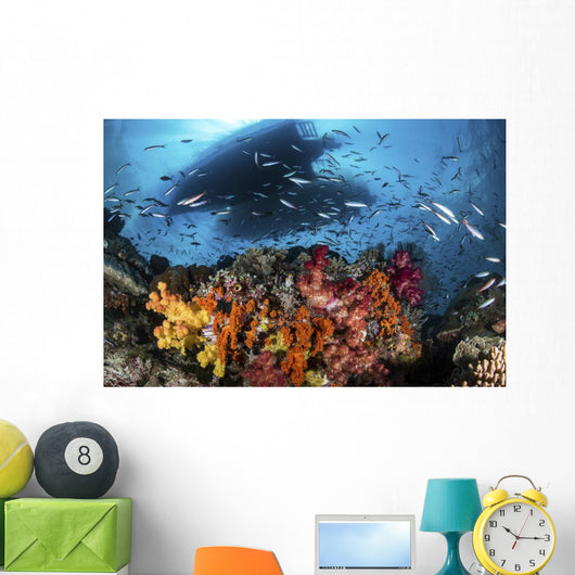 Two Boats above Coral Wall Decal