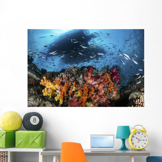Two Boats above Coral Wall Decal