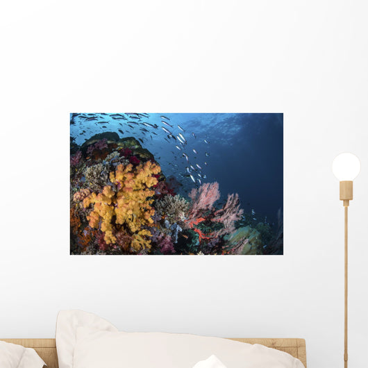 Coral Reef with Schools Wall Decal